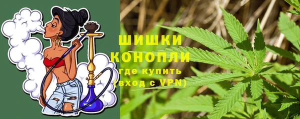 шишки Алзамай