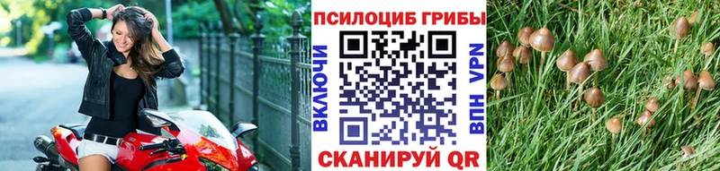 Галлюциногенные грибы ЛСД  Северская 